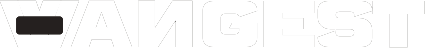 Vangest